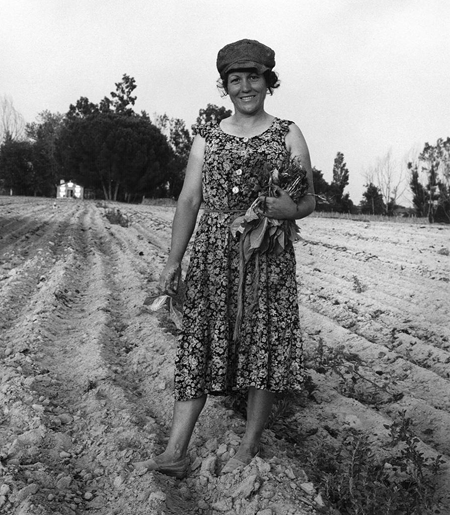 Milton Rogovin | Family of Miners series; Woman in field harvesting tobacco | 1983 | Milton Rogovin: Social Documentary Photographs; miltonrogovin.com
