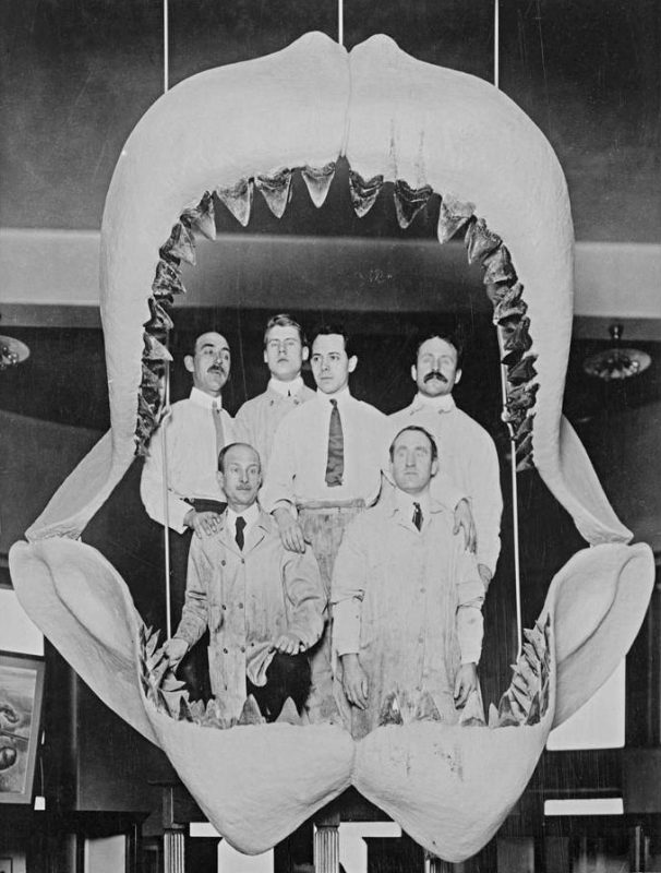 Paleontology staff posing with Fossil Shark Jaws. Image and original data provided by Library, American Museum of Natural History, Anthropology Department, American Museum of Natural History