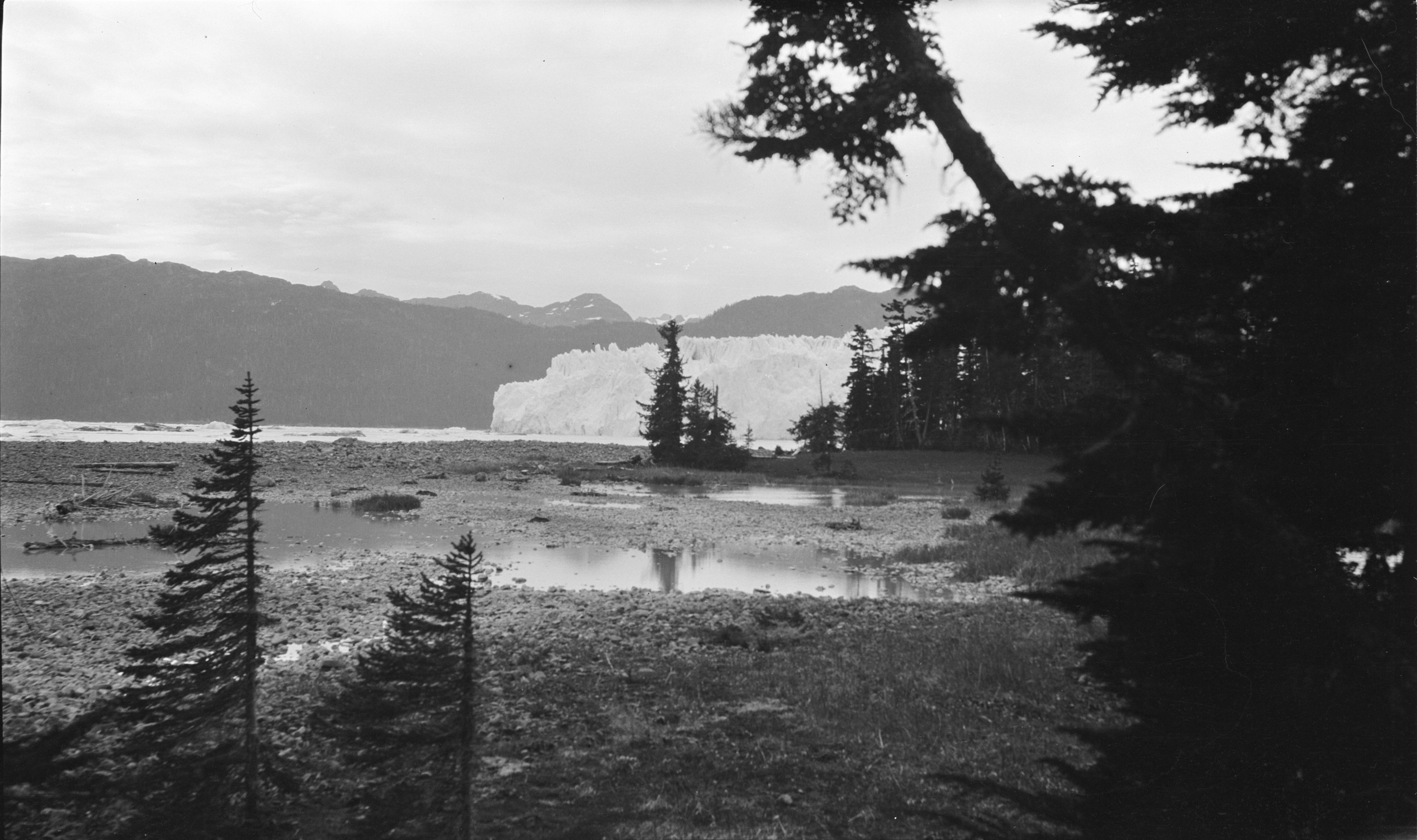 Columbia Glacier from one of Curtis sites. 1909. Prince William Sound, Valdez-Cordova, Alaska. Image provided by Cornell University. 