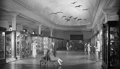 Visitors viewing display cases and Bird Dome, Hall of the Birds of the World, 1927, American Museum of Natural History, Photographer: H. S. Rice. Image and original data provided by Library, American Museum of Natural History