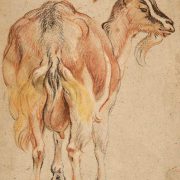 Jacob Jordaens, Goat, ca. 1657. Image © Yale University Art Gallery