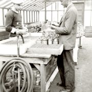 Instructor Keil with student at Burbank Gardens. Courtesy of Santa Rosa Junior College Archives.