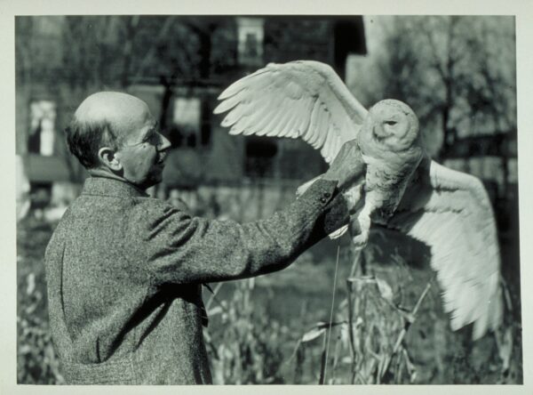 Louis Agassiz Fuertes with a live Snowy Owl. c. 1920